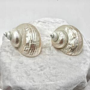 Polished Pearl White Large Turbo Shells Z Gallerie 3" NEW